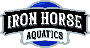 Iron Horse Aquatics Swim Team